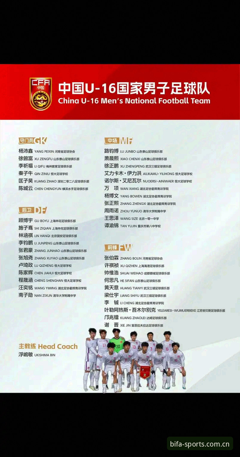 U17世界杯抽签结果全面解析：中国足球未来之星的分组挑战与机遇